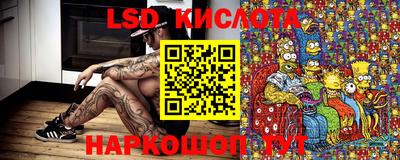 PSILOCYBIN Краснодар