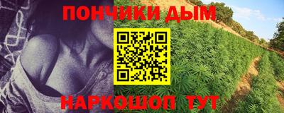 PSILOCYBIN Краснодар