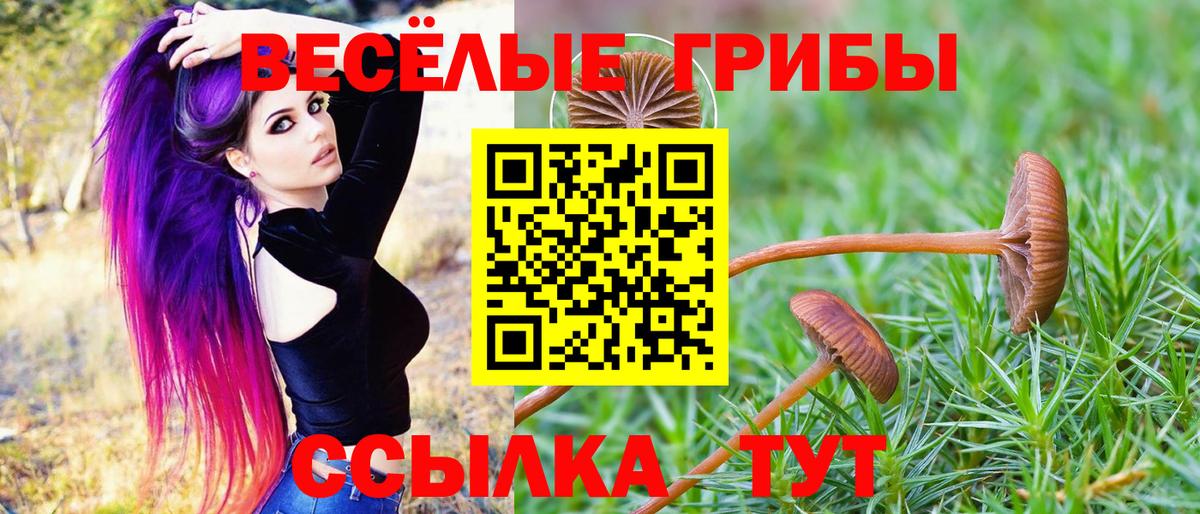 Донецк  Галлюциногенные грибы Psilocybine cubensis  Вход с VPN 