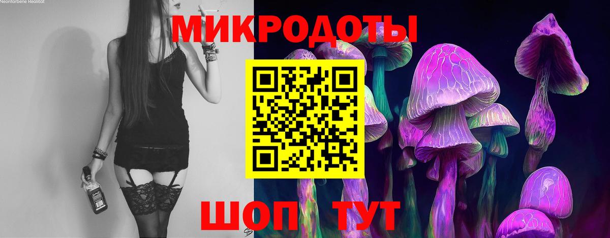Псилоцибиновые грибы Cubensis Донецк